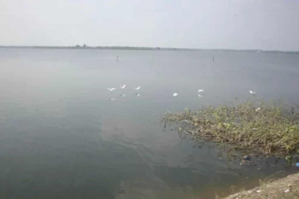 Exploring the Richness of Gandipet Lake