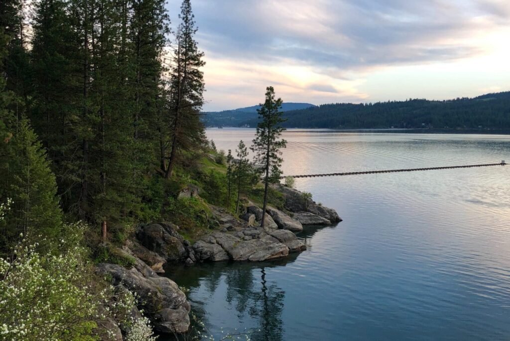 Arkabutla Lake water level