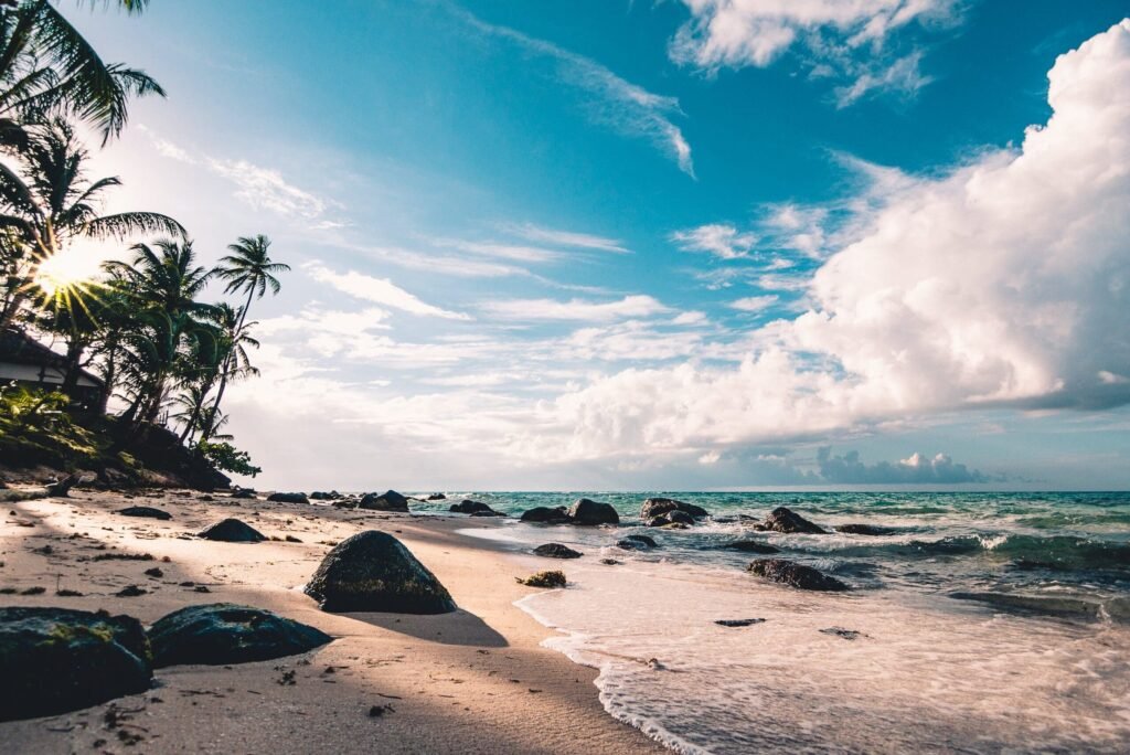 Harris Beach State Park