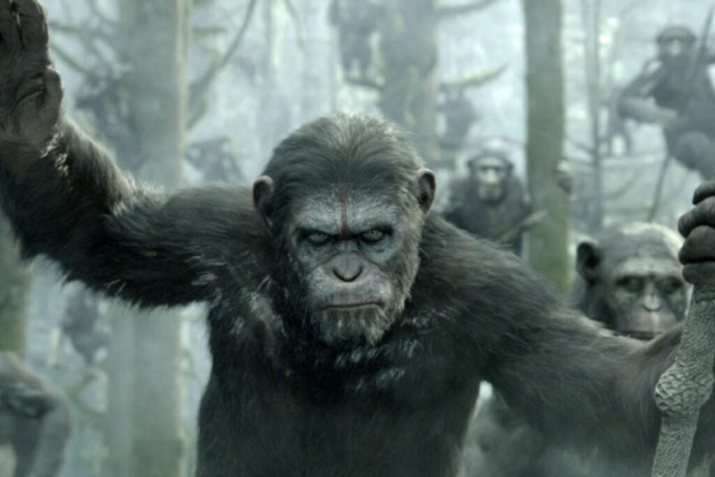 Film Review Kingdom of the Planet of the Apes